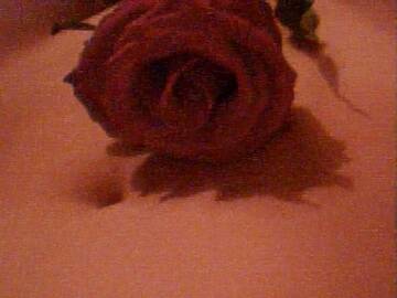 Foto publica di xxbimbasexx