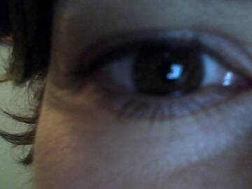 Public Photo of pussiina