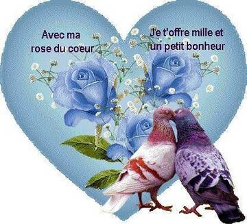 Public Photo of timdamarcella