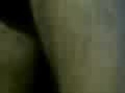 Amateur Video of LaSophia